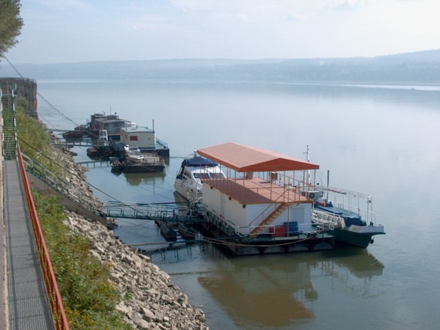 Photograph